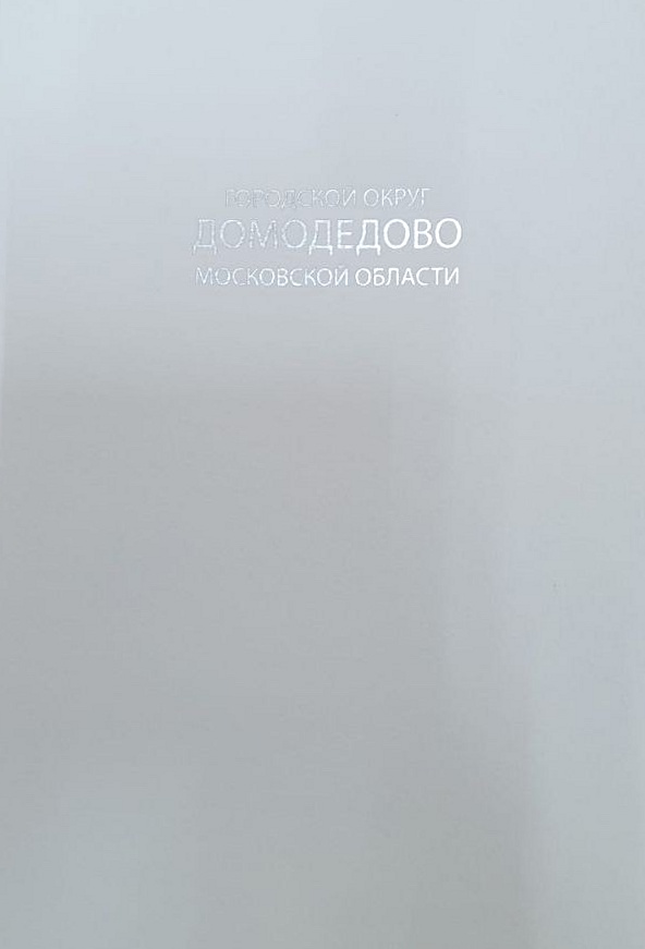 День рождения благочинного Домодедовского церковного округа иерея Андрея Дьячкова — фото 7