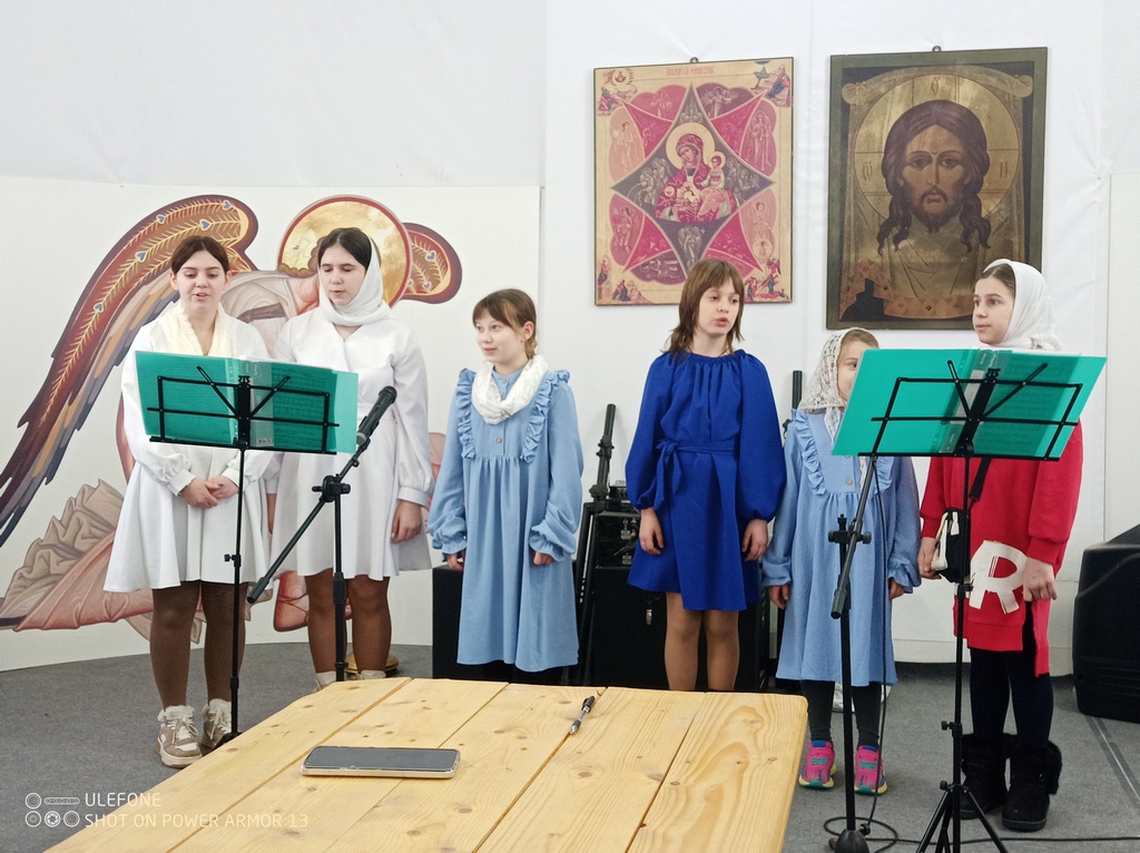 Концерт посвященный Дню защитника Отечества в Добрынихе