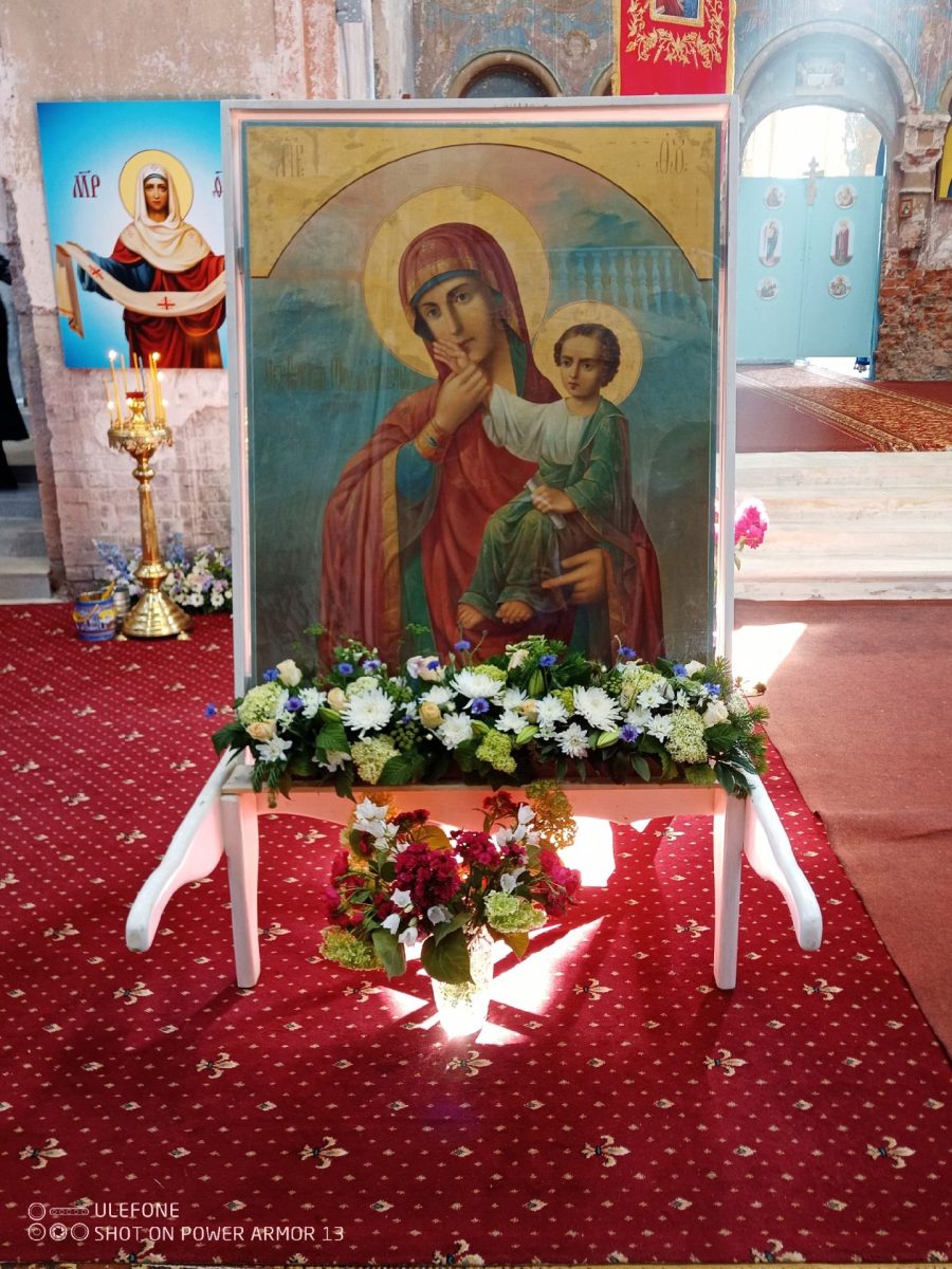 Торжества посвященные принесению чтимого списка иконы Божией Матери «Отрада и Утешение» в Добрыниху — фото 6