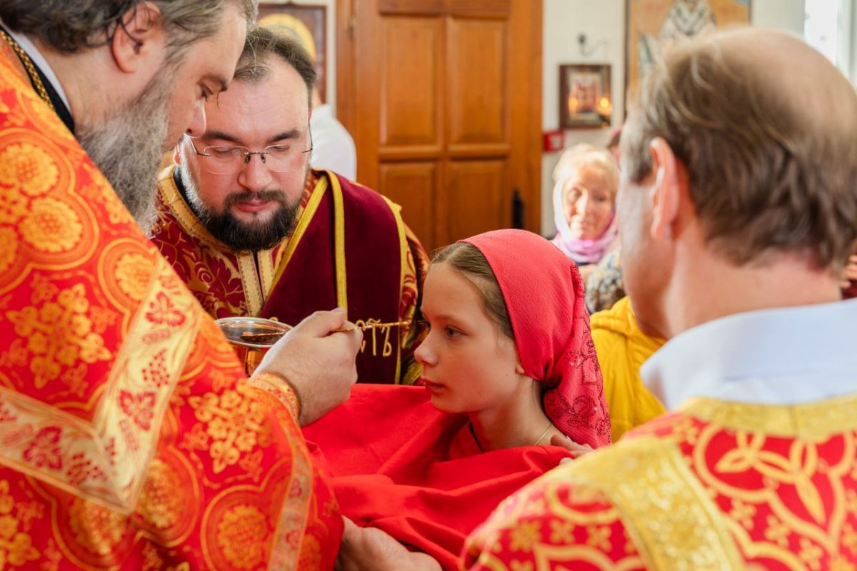 Престольный праздник в Димитриевском храме с. Шебанцево — фото 3